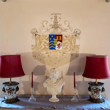 Il Sogno Delle Tartarughe *