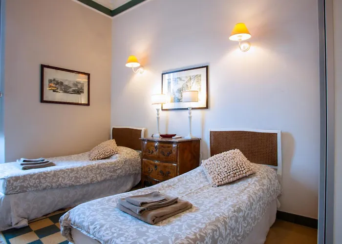 Il Sogno Delle Tartarughe