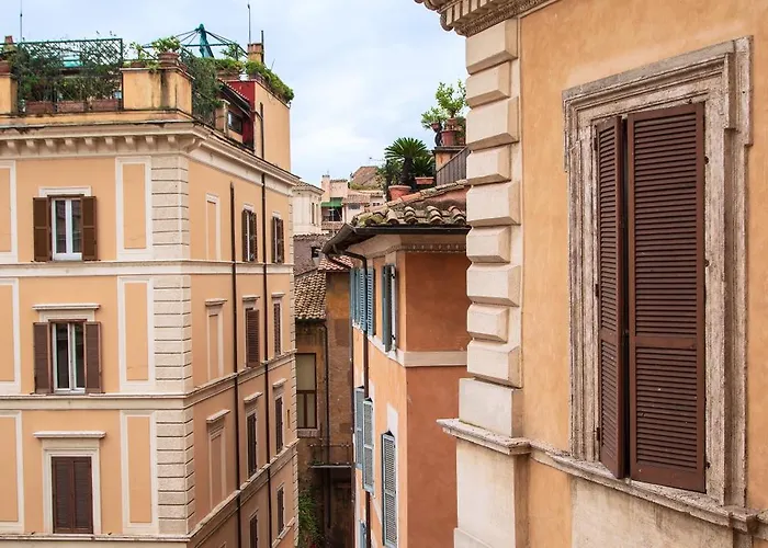 Il Sogno Delle Tartarughe *