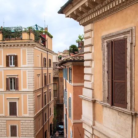 Il Sogno Delle Tartarughe *