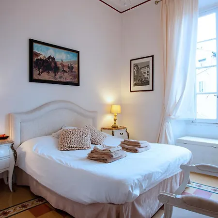 Il Sogno Delle Tartarughe Rome