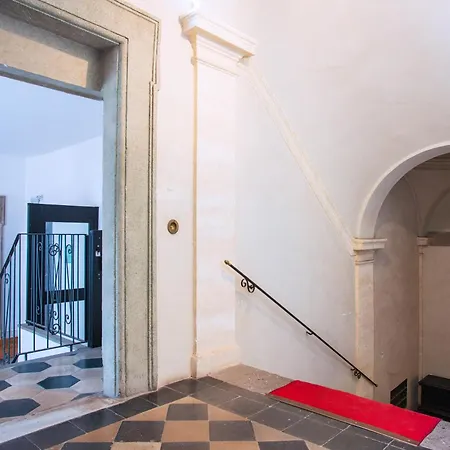 Il Sogno Delle Tartarughe Rome