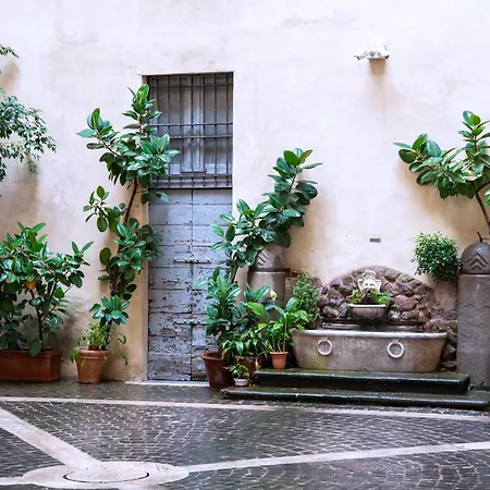 Il Sogno Delle Tartarughe Apartment Rome